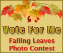 Vote at the Falling Leaves Quilt Show Photo Contest