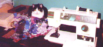 Pal helping me make a string quilt.