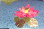 Lotus...National flower of India