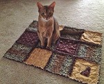 Andy's Rag Quilt